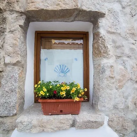 Domus בית הארחה אולביה
