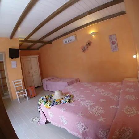 Domus 3*
