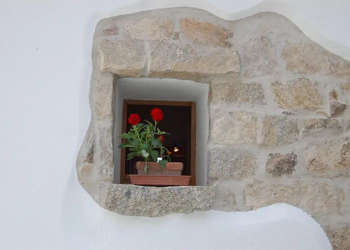 Casa de hóspedes Domus