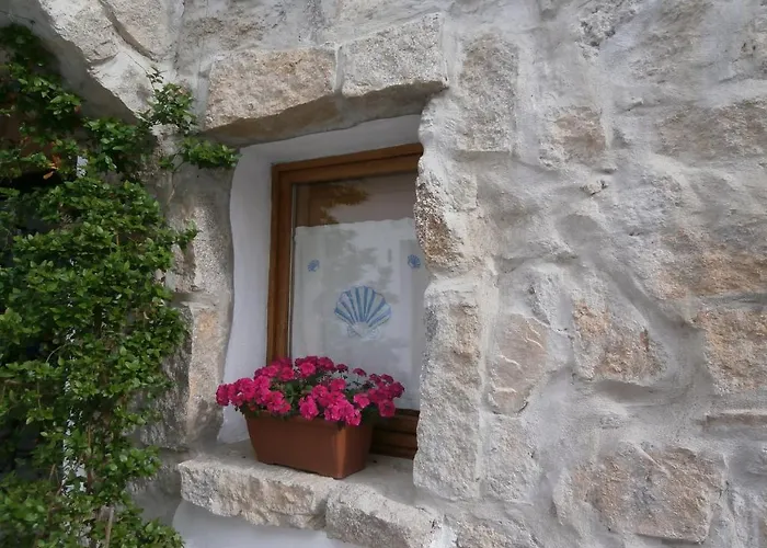 Domus Casa de hóspedes