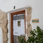 Domus אולביה
