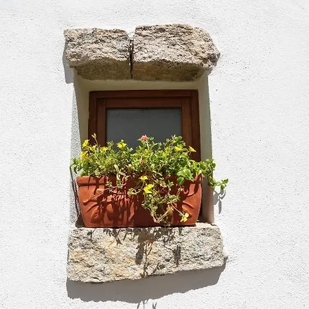 Domus 3*