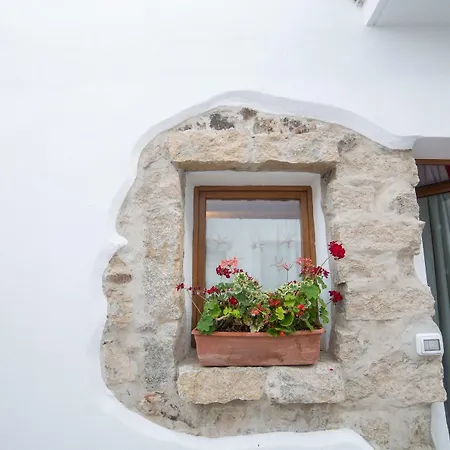 Domus Πανσιόν 3*