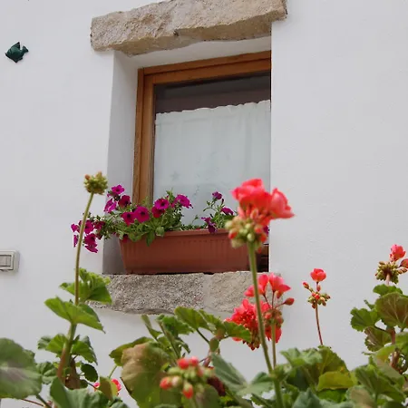 Olbia Domus Inn Guest house