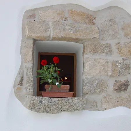 Πανσιόν Domus