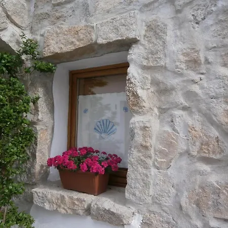 Domus Πανσιόν