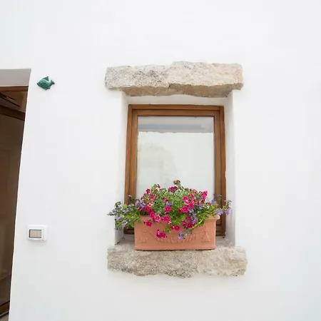 Affittacamere Domus 3*