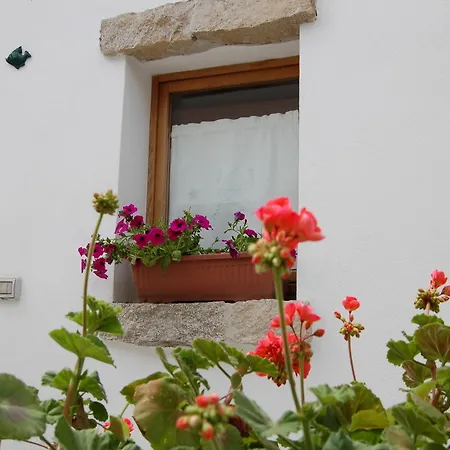 Πανσιόν Domus Όλμπια
